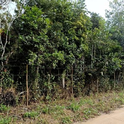 Terreno amplo, todo cercado - Lote/Terreno em Arraial d´Ajuda, Porto Seguro - à venda - Ramos Arraial