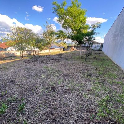Terreno com 465m² - Lote/Terreno em Sossego, Schroeder - à venda - SONHO D`LAR IMOVEIS LTDA