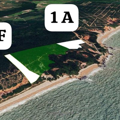Dois terrenos à venda em Jacumã com 8,42 Hectares - Lote/Terreno em Jacumã, Conde - à venda - Pedro Soares Imóveis