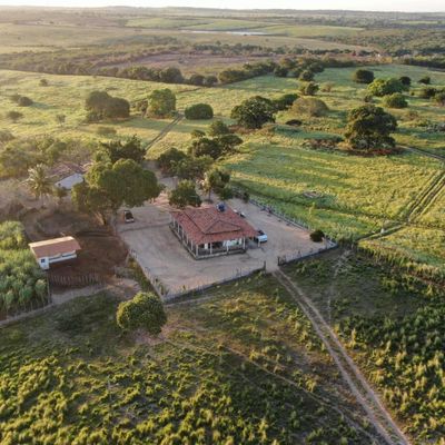 FAZENDA À VENDA – JACARAÚ/PB - Fazenda em Centro, Jacaraú - à venda - Pedro Soares Imóveis