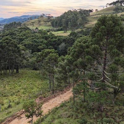 venda - Terreno em Três pedrinhas, São Joaquim - à venda - Figueiredo e Reginato Gestão Imobiliaria e Comercio LTDA