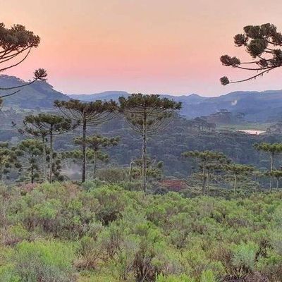 Terreno rural - Terreno em São Joaquim - à venda - Figueiredo e Reginato Gestão Imobiliaria e Comercio LTDA