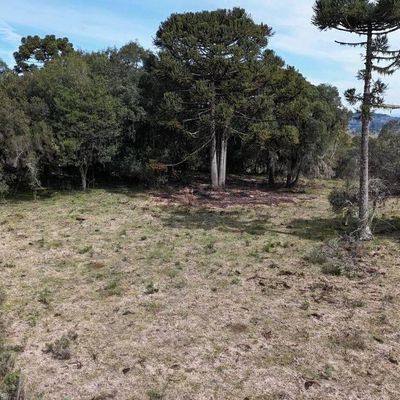 Um Terreno Rural em Santa Isabel - Lote/Terreno em Santa Izabel, São Joaquim - à venda - Figueiredo e Reginato Gestão Imobiliaria e Comercio LTDA