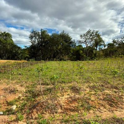 Lote/Terreno, São Roque - Apiúna - Lote/Terreno em São Roque, Apiúna - à venda - Josiel Barcelos