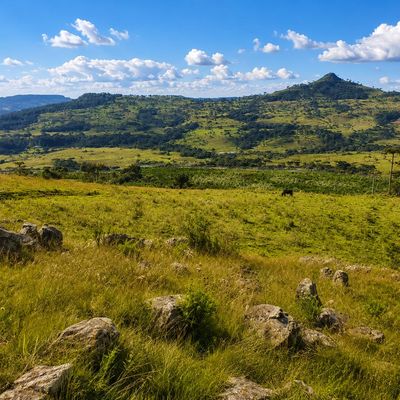 Terreno - Urubici - Terreno em Lageado Liso, Urubici - à venda - ZEH IMOVEIS LTDA