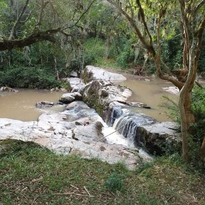 Um sítio especial no Morro Redondo/RS - Sítio em São Domingos, Morro Redondo - à venda - Ju Vargas Imóveis