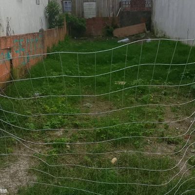Lote/Terreno - Florianópolis