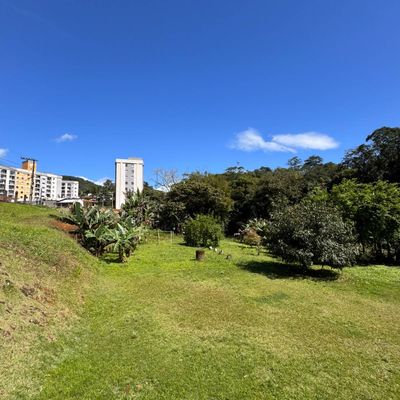 TERRENO COM 870,44m² | ILHA DA FIGUEIRA - Lote/Terreno em Ilha da Figueira, Jaraguá do Sul - à venda - D2 Imóveis
