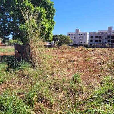 Area externa